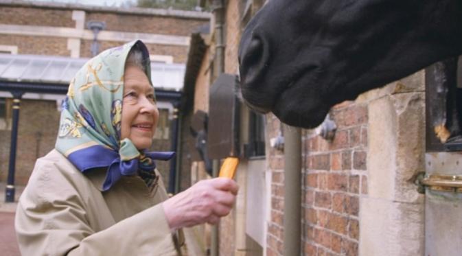 Ratu Elizabeth saat memberi makan kuda. (The Telegraph)