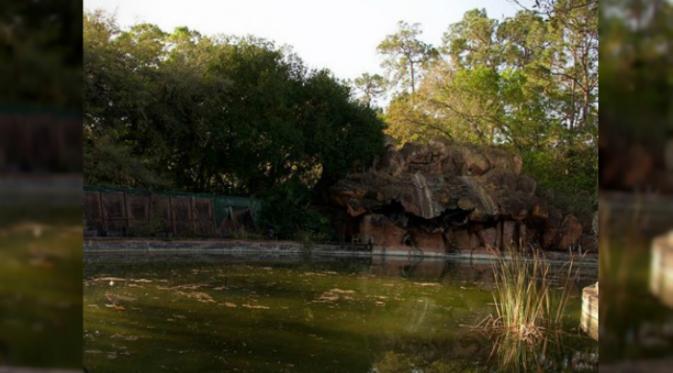 Disney River Country adalah taman air Walt Disney World pertama yang ada di Orlando, Florida.(Instagram Seph Lawless)