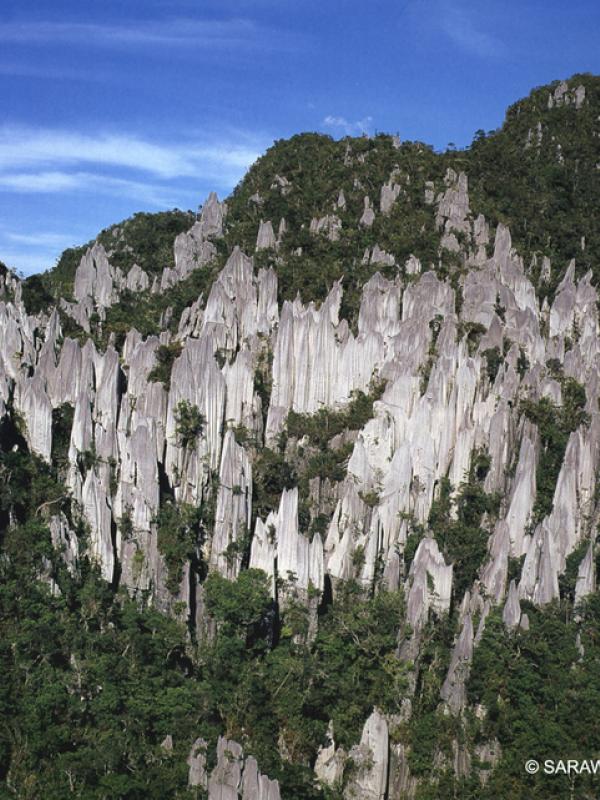 Pinnacles of Mulu di Sarawak. Foto: Sarawak Tourist Board