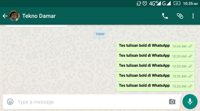 Tes tulisan bold di WhatsApp. Liputan6.com/Mochamad Wahyu Hidayat