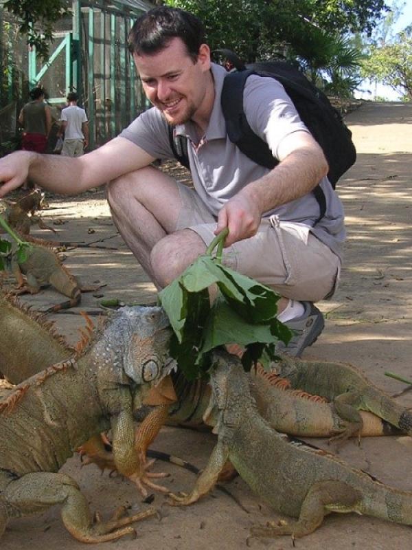 Iguana liar di Honduras. (whittenfamily)