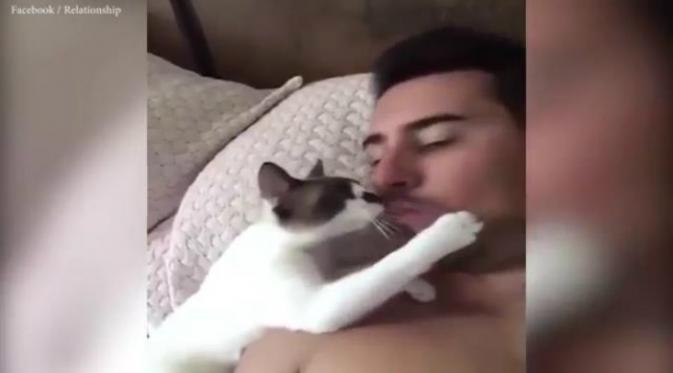 Hingga hanya dalam beberapa minggu saja setelah diposting, kini video kucing dan sang pemilik yang tengah berciuman di bibir menjadi viral di internet.(Facebook Relationships)