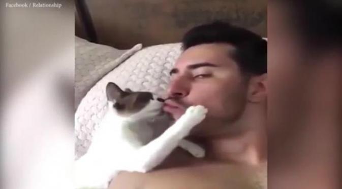Dalam video berdurasi 32 detik itu, si kucing nampak tengah meraba-raba wajah sang pemilik. Ia terlihat seperti sedang mencari perhatiannya.(Facebook Relationships)