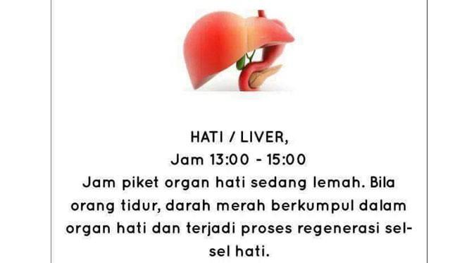 Jam-jam penting untuk memperbaiki organ dalam kamu | Via: facebook.com