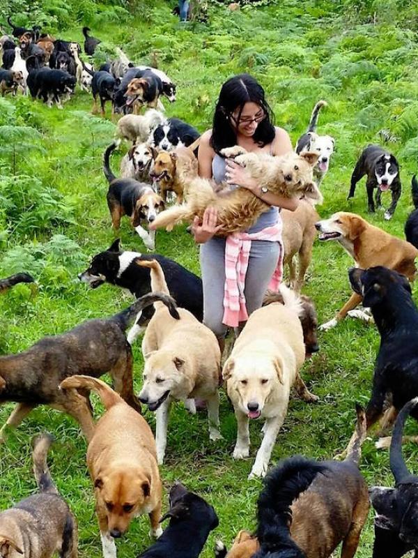 Land of Strays, Tanah 900 Anjing yang Diselamatkan di Kosta Rika. Sumber : mymodernmet.com