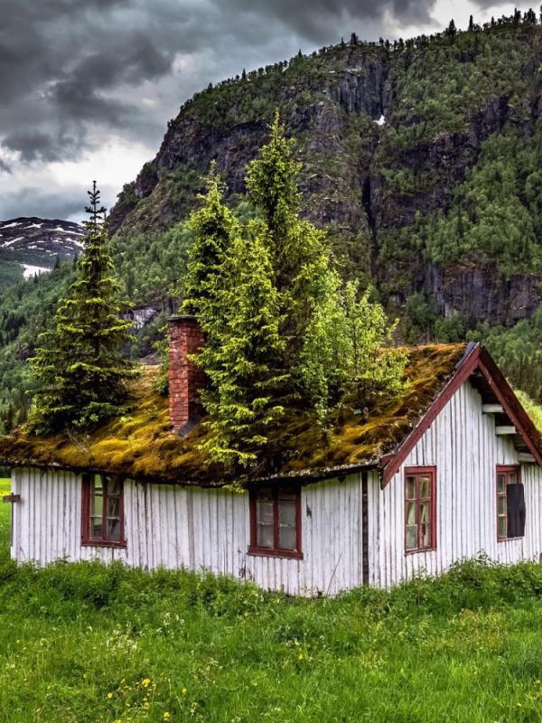 Rumah pedesaan, Norwegia. (Europe Trotter)