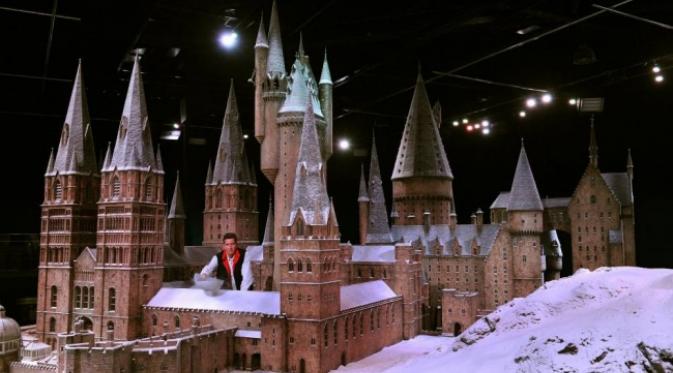 Miniatur film Harry Potter. Foto: via brightside.me