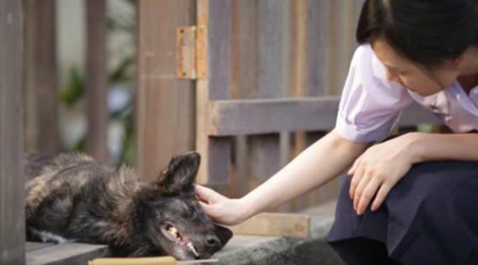 Akhirnya, perempuan tersebut berani untuk mengelus kepala hewan malang itu (Foto: KTB Care).