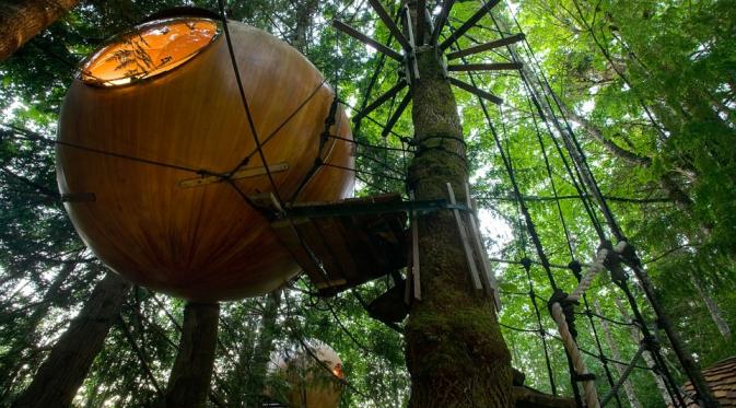 Rumah pohon unik berbentuk lingkaran di pedalaman hutan Kanopi, Kanada (Dailymail.com).