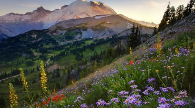 Taman Nasional Rainier, Washington. (reddit)