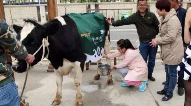 Pemeras susu di Beijing. (via: shanghaiist.com)