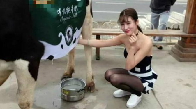 Wanita seksi pemandu pemerah susu sapi segar di China untuk menarik minat para warga agar mengonsumsi susu lokal (Shanghaiist).