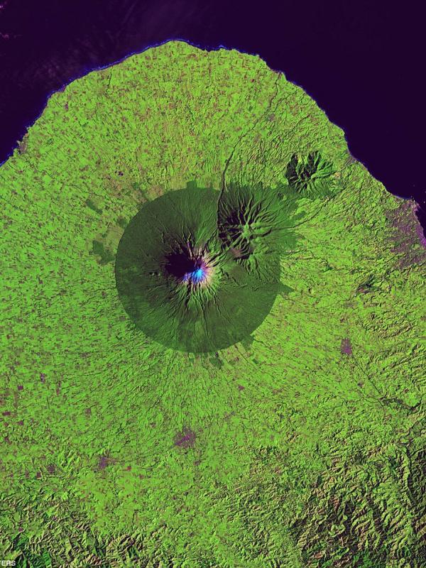 Rupa Gunung Taranaki, Taman Nasional Egmont, Selandia Baru dari luar angkasa. (USGS/USDOI/Caters)