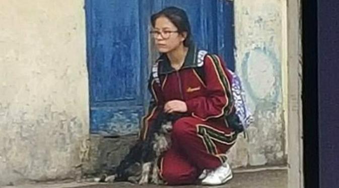 Di foto tersebut Daniela tampak melindungi dan memeluk anak anjing terlantar dengan jaketnya. (dailymail)