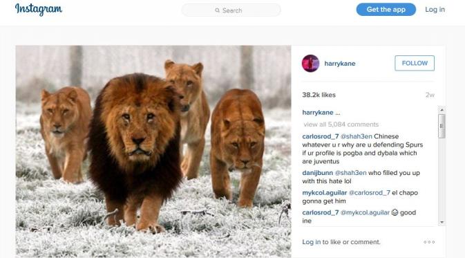 Harry Kane mengunggah foto kawanan singa lewat akun Instagramnya (Instagram)