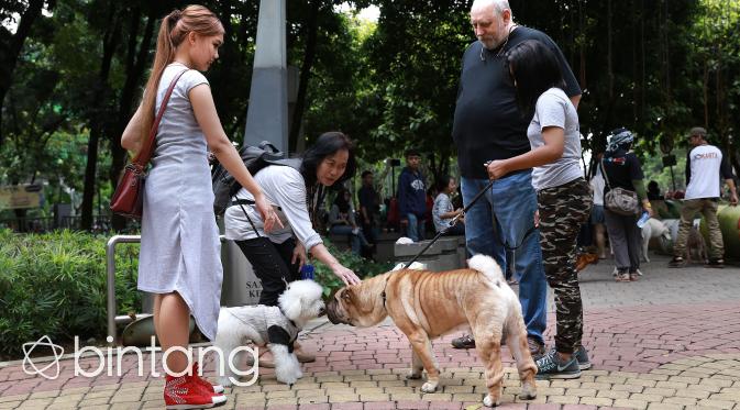 Semua Jenis Anjing Bisa Dilatih Menjadi Anjing Pelacak. (Foto: Bintang.com/Galih W. Satria)