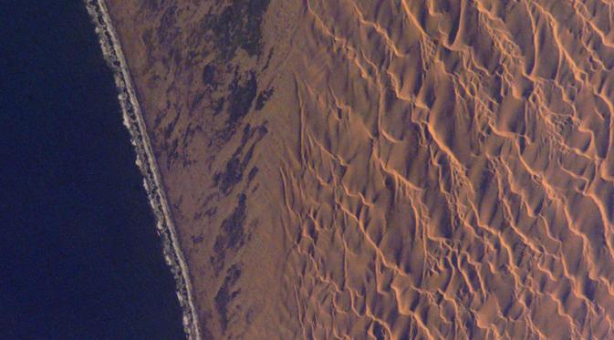 Gurun Namib, Namibia (Wikipedia)