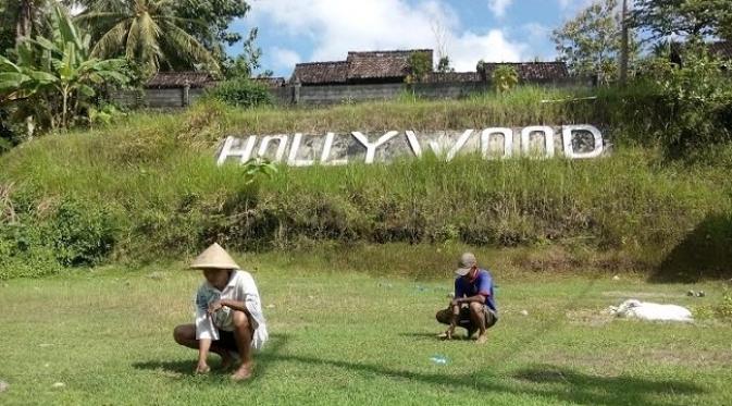 Sepintas saat melewati Kabupaten Kulonprogo, Anda akan menyaksikan pematang sawah yang bertuliskan "Hollywood". Foto: Fathi Mahmud.