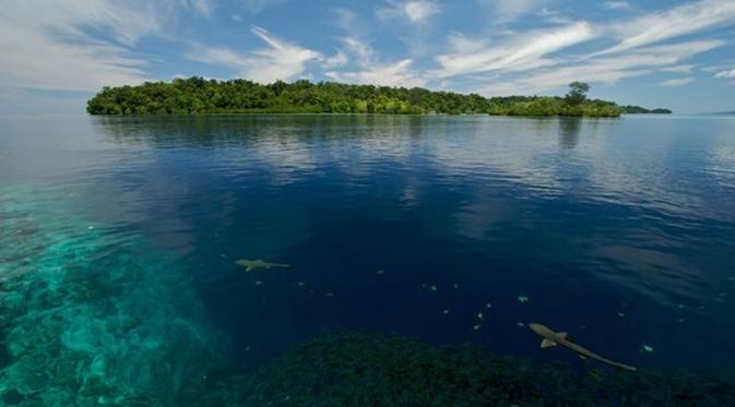 Perubahan Iklim Bukan Omong Kosong, Ini Bukti 5 Pulau Tenggelam (BBC/Guardian)