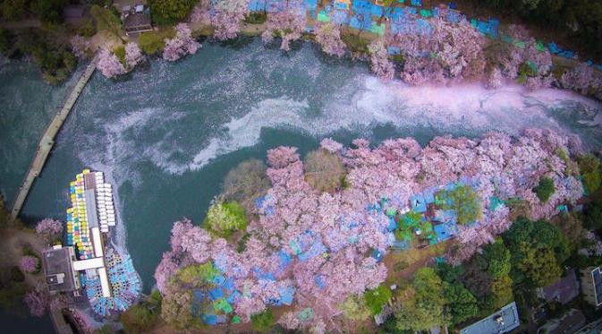 Inokashira Koen, Jepang. (Danilo Dungo)