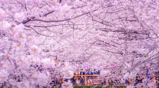 Inokashira Koen, Jepang. (Danilo Dungo)