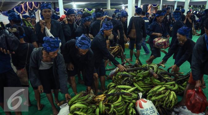 Masyarakat Suku Baduy Luar tiba di pendopo dengan hasil bumi berupa pisang, beras dan gula aren di Kabupaten Lebak, Banten (13/05). Mereka beristirahat semalam untuk menyiapkan fisik menuju Pendopo Serang. (Liputan6.com/Fery Pradolo)
