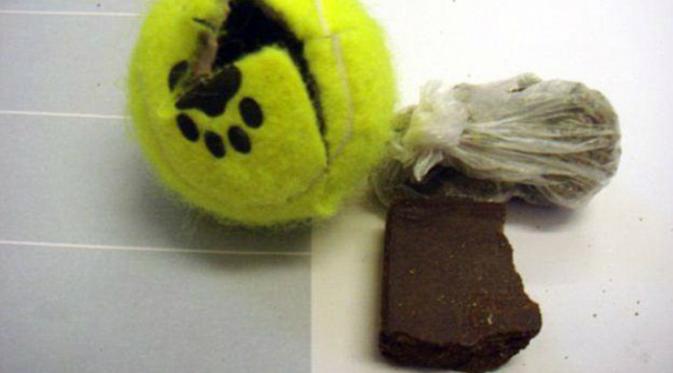 Narkoba yang diselundupkan di dalam bola tenis (BBC).