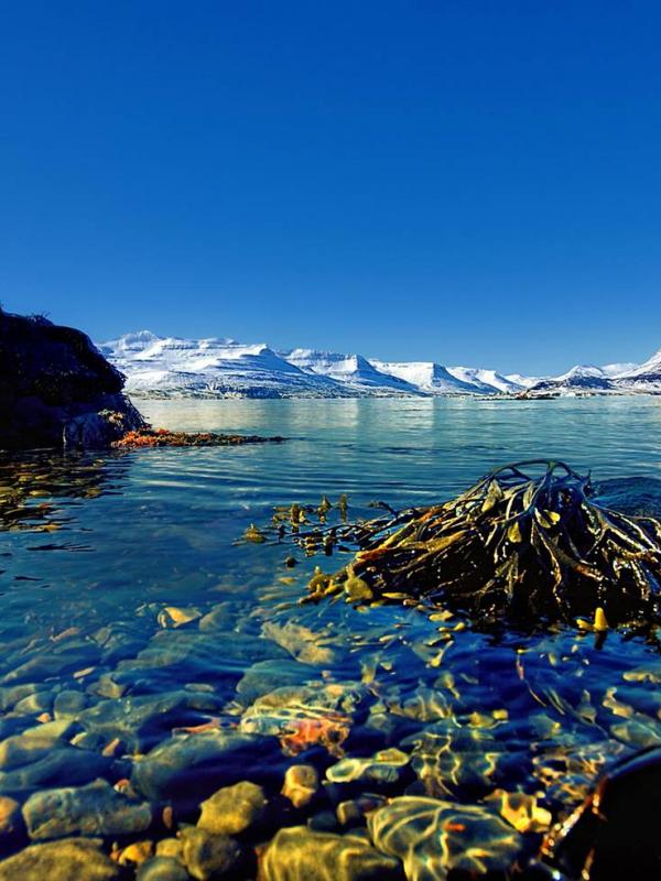 Reyoarfjorur, Islandia. (Getty Images)