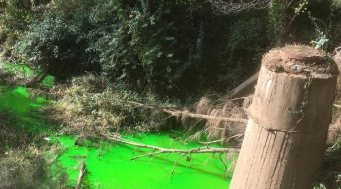 Fenomena perubahan air sungai menjadi hijau neon itu terjadi di beberapa aliran sungai di Sydney (Dailytelegraph.com.au). 
