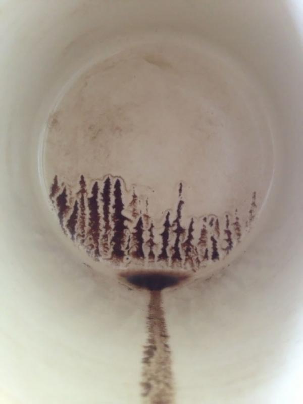 Siluet hutan dari sisa ampas kopi di gelas. (Via: boredpanda.com)