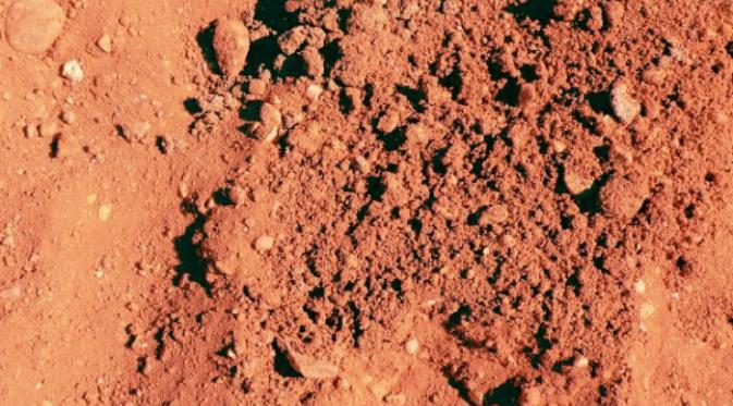 Ilustrasi tanah di Mars (iStock).