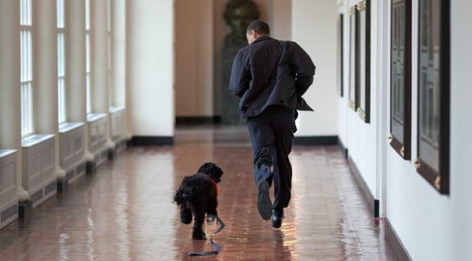 Obama bermain dengan anjingnya, Bo (Pete Souza).
