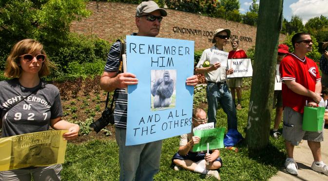 Warga melakukan protes sambil mengenang kematian gorila di lKebun Binatang Cincinnati, Ohio, Senin (30/5). Publik AS marah atas insiden penembakan gorila bernama Harambe untuk menyelamatkan seorang bocah yang jatuh ke kandangnya (REUTERS/William Philpott)