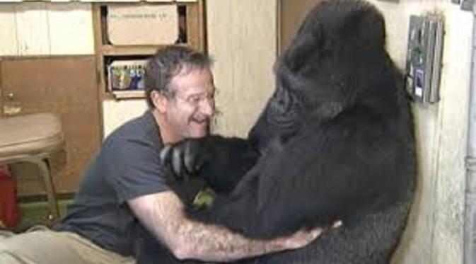 Gorila Koko bersama Robin Williams