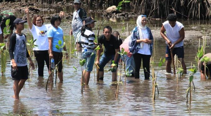 Warga dan pihak terkait menanam mangrove agar Bunaken tetap lestari (Liputan6.com / Yoseph Ikanubun)