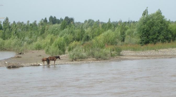 Menyusuri Sungai Yili Xinjiang, Alirannya dari Negeri Tetangga (Liputan6.com/Arie Mega Prastiwi)
