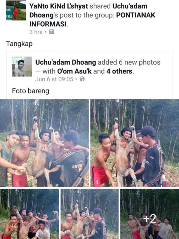 Anak-anak alay berburu dan pajang foto dengan Bekantan mendapat kecaman dari netizen | Via: facebook.com