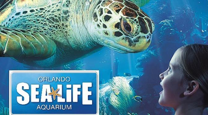 Sea Life Orlando Akuarium