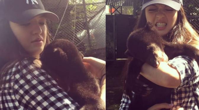 Raline Shah mesra dengan beruang, netizen iri berat. (Instagram)