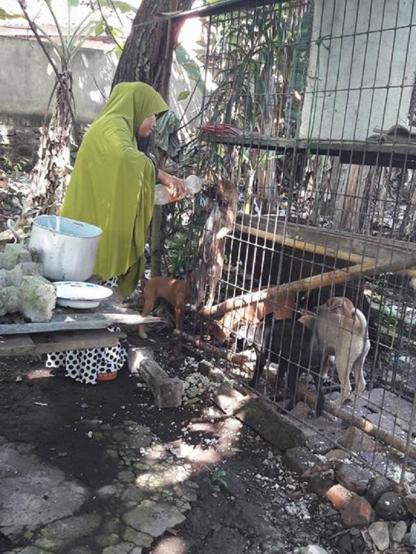 Desy Marlina Amin, wanita berjilbab ini tak peduli cibiran orang karena memelihara anjing (foto ; facebook)