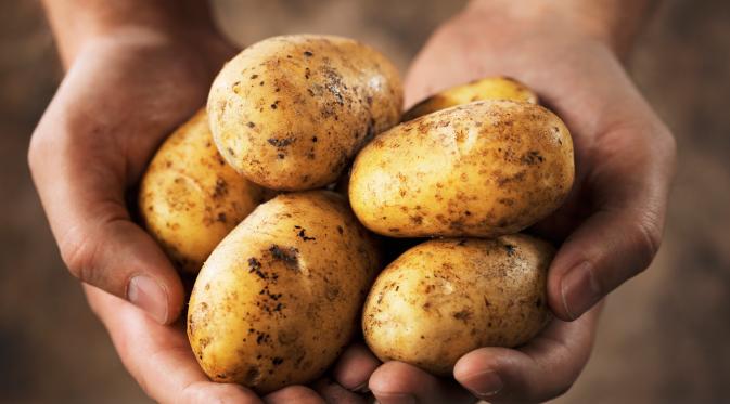 Kentang. (Foto: potatoes.com)