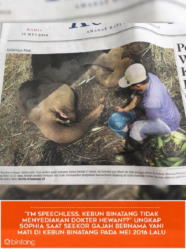 Idealisme Sophia Latjuba soal kekerasan pada hewan (Foto: Instagram/sophia_latjuba88, Desain: Muhammad Iqbal Nurfajri/Bintang.com)