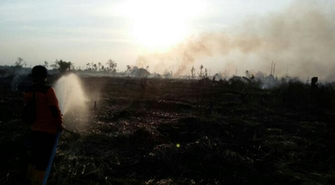 Kebakaran akibat perambahan hutan di Taman Nasional Tesso Nilo, Kabupaten Pelalawan, Riau. (Liputan6.com/M Syukur)