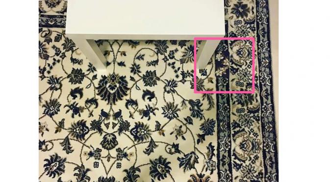 Tahukah kamu, di mana iPhone tersembunyi di karpet ini? (Sumber: Business Insider).