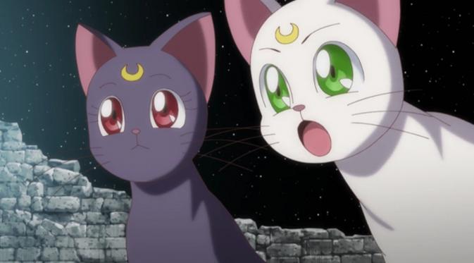 Kucing imut anime April 2022