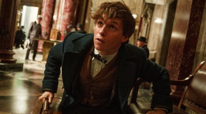 Fantastic Beasts And Where To Find Them. foto: vanity fair