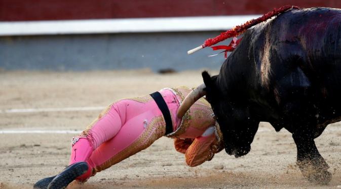 Pablo Belando saat diserang seekor banteng di dalam arena | via: tehsun.co.uk