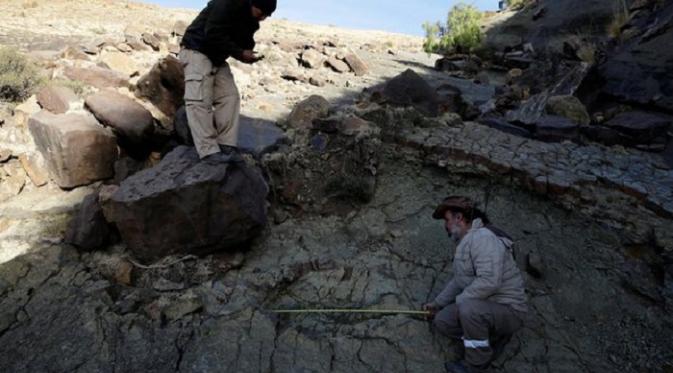 Ahli Paleontologi Argentina, Sebastian Apesteguia mengukur kembali temuan jejak kaki abelisaurus (The Guardian)