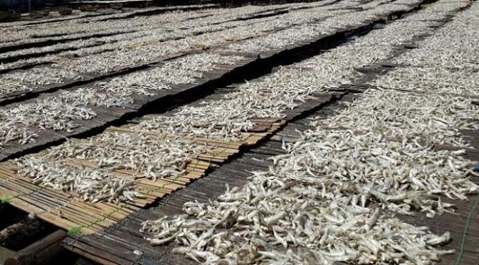 Pengolahan ikan asin Cilincing, Jakarta Timur, merupakan pengolahan ikan asin terbesar di Jakarta.