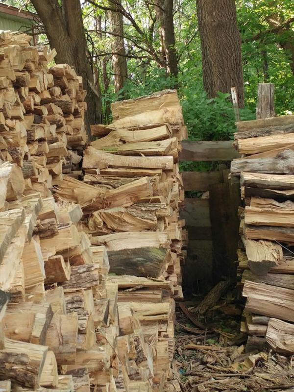 Bisa menemukan kucing di tumpukan kayu berikut ini? (Via: boredpanda.com) 